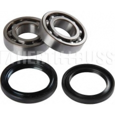 J4707004 NIPPARTS Комплект подшипника ступицы колеса