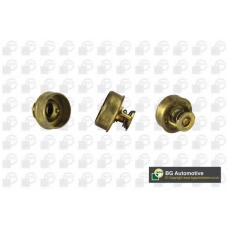 CT5437 BGA Термостат, охлаждающая жидкость