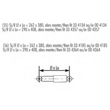 004134 RECORD FRANCE Амортизатор