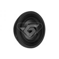 DP030 HUTCHINSON Ременный шкив, коленчатый вал