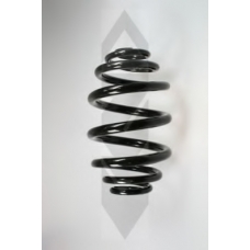 48456 SPIDAN Пружина ходовой части