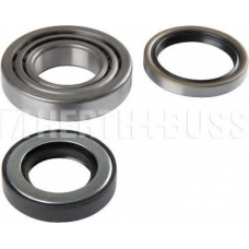 J4715004 NIPPARTS Комплект подшипника ступицы колеса