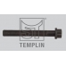 08.200.1906.940 TEMPLIN Болт головки цилидра
