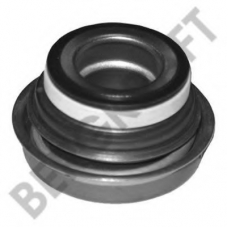 BK8806206 Berg Kraft Прокладка, водяной насос