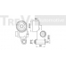 TD1627 TREVI AUTOMOTIVE Натяжной ролик, ремень ГРМ