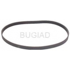 BSP23130 BUGIAD Поликлиновой ремень