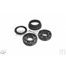 D118-21 ASHUKI Комплект подшипника ступицы колеса