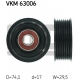 VKM 63006