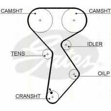 8645 5432xs TRISCAN Ремень ГРМ