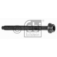 05541 FEBI Болт головки цилидра