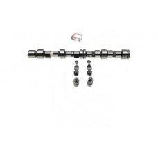 CP62284 CAMPRO Комплект распредвала