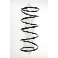 55543 SPIDAN Пружина ходовой части