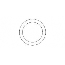 498722 ERNST Уплотнительное кольцо, труба выхлопного газа