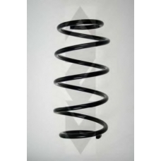 48489 SPIDAN Пружина ходовой части