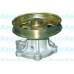 TW-1143 KAVO PARTS Водяной насос