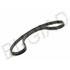 BSP22113 BUGIAD Поликлиновой ремень