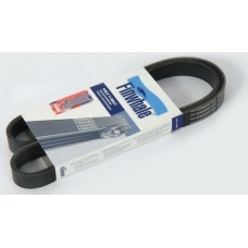 BP6113 FINWHALE Поликлиновой ремень