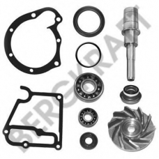 BK3147722WP Berg Kraft Ремкомплект, водяной насос