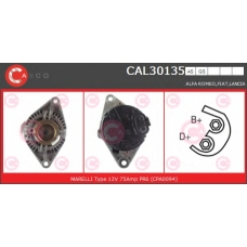 CAL30135GS CASCO Генератор