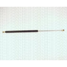 8710 27205 TRIDON Gas spring rear