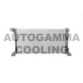 101200 AUTOGAMMA Радиатор, охлаждение двигателя