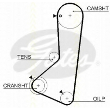 8645 5254xs TRISCAN Ремень ГРМ