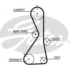 5481XS GATES Ремень ГРМ