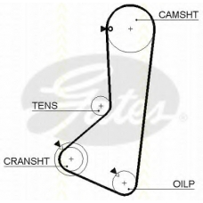 8645 5372xs TRISCAN Ремень ГРМ