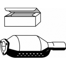 120869 ERNST Катализатор