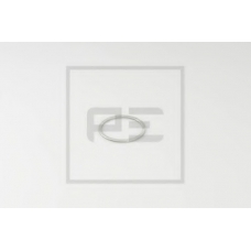 031.158-00A PE Automotive Уплотнительное кольцо, подшипник рабочего вала; Уп