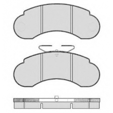 RA.0484.0 RAICAM Комплект тормозных колодок, дисковый тормоз