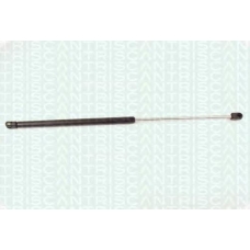8710 16209 TRIDON Gas spring rear