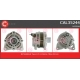 CAL35244