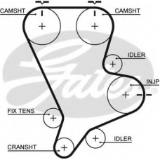 5554XS GATES Ремень ГРМ