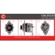 CAL35133