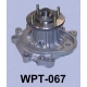 WPT-067