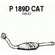 P189DCAT