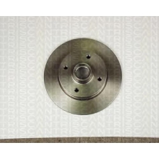 8120 10104 TRIDON Brake discs, rear
