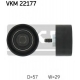 VKM 22177