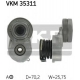 VKM 35311