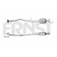 751179 ERNST Катализатор