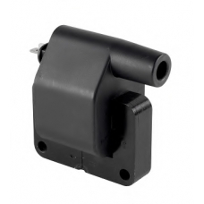 155234 BOUGICORD Катушка зажигания