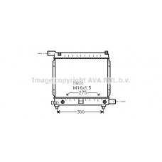 MS2064 Prasco Радиатор, охлаждение двигателя