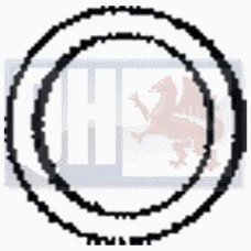 TYG5 KLARIUS Уплотнительное кольцо, труба выхлопного газа