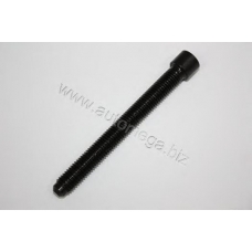 101030385058B AUTOMEGA Болт головки цилидра