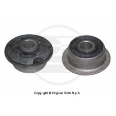 2045 BIRTH Подвеска, рычаг независимой подвески колеса