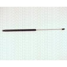 8710 27201 TRIDON Gas spring rear