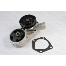 D1S002TT THERMOTEC Водяной насос