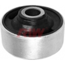 FO11036 RIW Подвеска, рычаг независимой подвески колеса