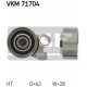 VKM 71704